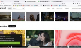 免费的视频网站,海量资源任你畅享的奥秘解析